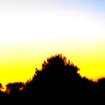sunset_phoenix.png